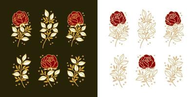 set di peonia vintage disegnata a mano, fiore di rosa ed elementi di logo femminile di ramo di foglie floreali vettore