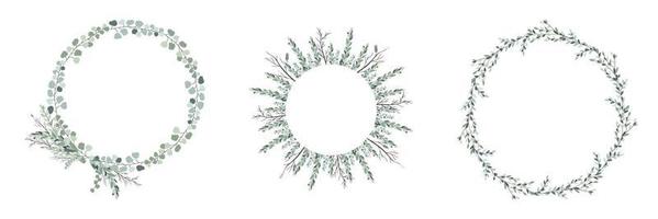 insieme di bordi di rami con foglie di eucalipto. illustrazione di bouquet botanico per modello di matrimonio. cornice verde cerchio con ornamento. vettore