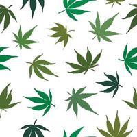 modello di marijuana.modello di foglie di cannabis verdi vettore