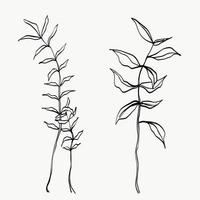 foglie botaniche line art. linea di piante astratte moderne o minimali. perfetto per l'arredamento della casa come i poster. disegno di illustrazioni vettoriali