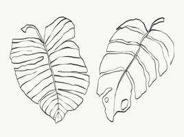 monstera lascia la linea d'arte. linea di piante astratte moderne o minimali. perfetto per l'arredamento della casa come i poster. disegno di illustrazioni vettoriali