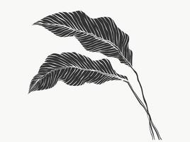 foglie e fogliame linea tropicale isolato su sfondo bianco. disegno di illustrazioni vettoriali