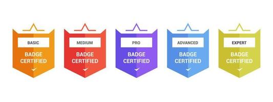 scudo distintivo logo certificato design colorato. distintivo del concorso vincitore. emblema di formazione aziendale certificato. vettore
