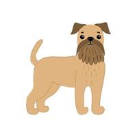 cane di razza carino grifone bruxelles marrone. illustrazione vettoriale di animali da compagnia
