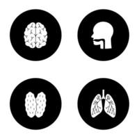 set di icone del glifo degli organi interni. cervello, cavità orale, timo, polmoni con bronchi e bronchioli. illustrazioni vettoriali di sagome bianche in cerchi neri