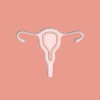 utero, tube di Falloppio e icona ritagliata della carta della vagina. sistema riproduttivo femminile. illustrazione vettoriale silhouette isolata