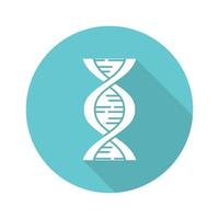 icona del glifo con ombra lunga design piatto turchese biofisica. ricerca genetica. struttura della molecola dell'elica del dna. studi scientifici sul genoma. gene cromosomico. illustrazione vettoriale silhouette