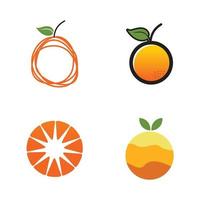 set di icone di frutta arancione logo design vettore