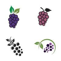 set di icone di frutta uva logo design vettore