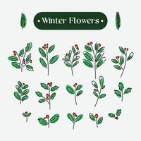 set collezione di fiori invernali disegnati a mano, agrifoglio, vischio, abeti, poinsettia vettore