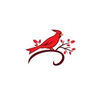 Il cardinale settentrionale uccello appeso ramo di un albero vettore su uno sfondo bianco