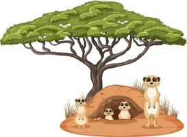 famiglia di suricati in stile cartone animato vettore