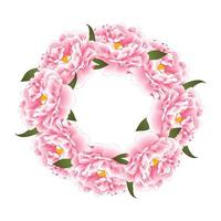 ghirlanda di fiori di peonia rosa vettore