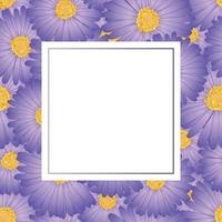 aster viola, carta banner fiore margherita vettore