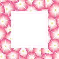 carta banner fiore rosa gloria mattutina vettore