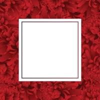carta banner fiore crisantemo rosso vettore