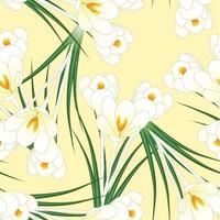 fiore di croco bianco su fondo avorio beige vettore