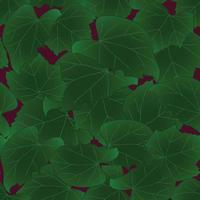 foglie di ibisco syriacus - rosa di sharon su sfondo viola vettore