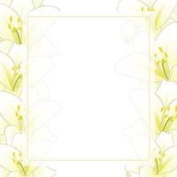 bordo della carta dell'insegna del fiore del giglio bianco vettore