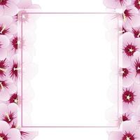 hibiscus syriacus - bordo della carta dell'insegna della rosa di sharon vettore