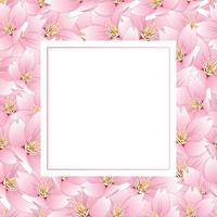 carta della bandiera del fiore di ciliegio di sakura vettore