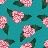 fiore di begonia rosa, picotee primo amore su sfondo verde acqua vettore