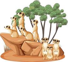 gruppo di suricati in stile cartone animato vettore