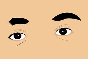 illustrazione vettoriale di occhi marroni, sopracciglia, ciglia e pelle del viso