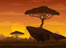 foresta della savana della siluetta all'ora del tramonto