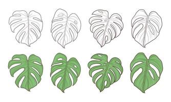 set di foglie di monstera disegnate a mano vettore