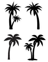 palma tropicale albero set icone illustrazione vettoriale silhouette nera
