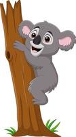 ramo di albero rampicante koala cartone animato vettore