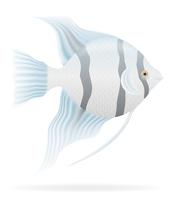 illustrazione vettoriale di pesci d&#39;acquario