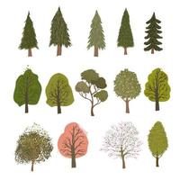 illustrazioni colorate di diversi alberi isolati su sfondo bianco vettore