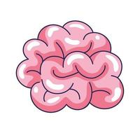 organo umano del cervello vettore
