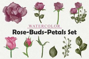 set di elementi ad acquerello di rose, foglie, rami di fiori, ramoscelli, boccioli illustrazione isolati con lo sfondo bianco della carta digitale. vettore