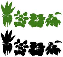 Set di piante silhouette vettore
