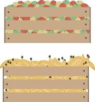 scatola di legno con mele e banane. illustrazione vettoriale