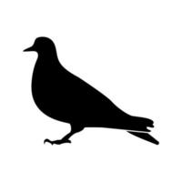 icona di colore nero colomba. vettore