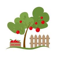melo, scatola di legno con mela rossa, concetto di raccolta. illustrazione vettoriale isolata su bianco