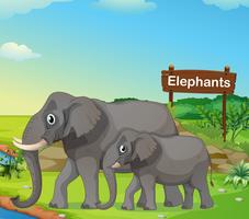 Un elefante piccolo e grande con un cartello vettore