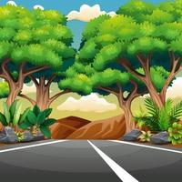 strada asfaltata diritta con paesaggio forestale vettore
