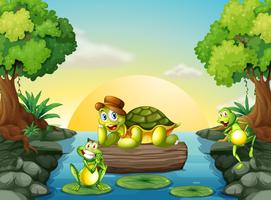 Una tartaruga e le due rane al fiume vettore