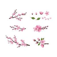 set di icone di fiori di sakura carino. i rami di ciliegio sono fioriti. composizione in fiore rosa primaverile con boccioli e foglie. decorazioni festive per matrimoni, vacanze, cartoline, poster. illustrazione vettoriale