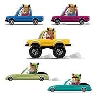 conducente di animali, veicolo per animali domestici e cinghiale felici in auto.