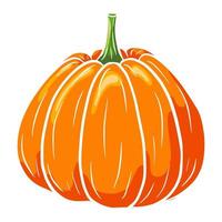 zucca succosa. icona del cibo autunnale. schizzo di zucca matura. elemento per il design decorativo autunnale, invito di halloween, raccolto, adesivo, stampa, logo, menu, ricetta vettore