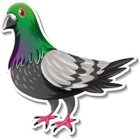 piccione uccello animale cartone animato adesivo vettore
