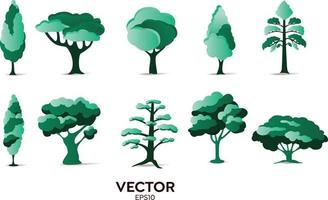 elementi di design vettoriale insieme raccolta di felci della giungla verde, foglie di erbe a foglia naturale di eucalipto tropicale in stile vettoriale. illustrazione elegante di bellezza decorativa per il design