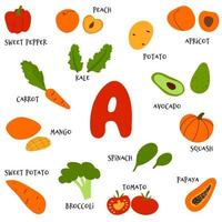 raccolta di frutta e verdura ricca di vitamina a. stile piatto del fumetto di vettore