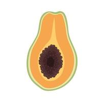 delizioso frutto della papaia vettore
